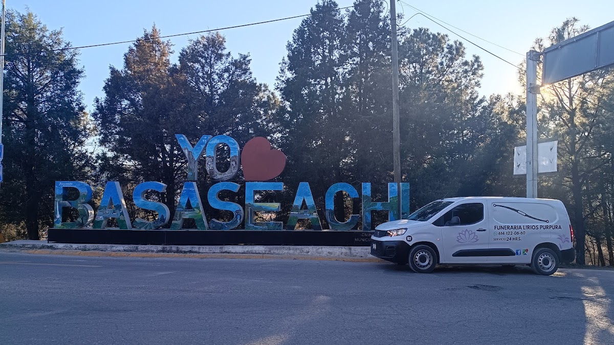 Funeraria Funeraria lirios purpura